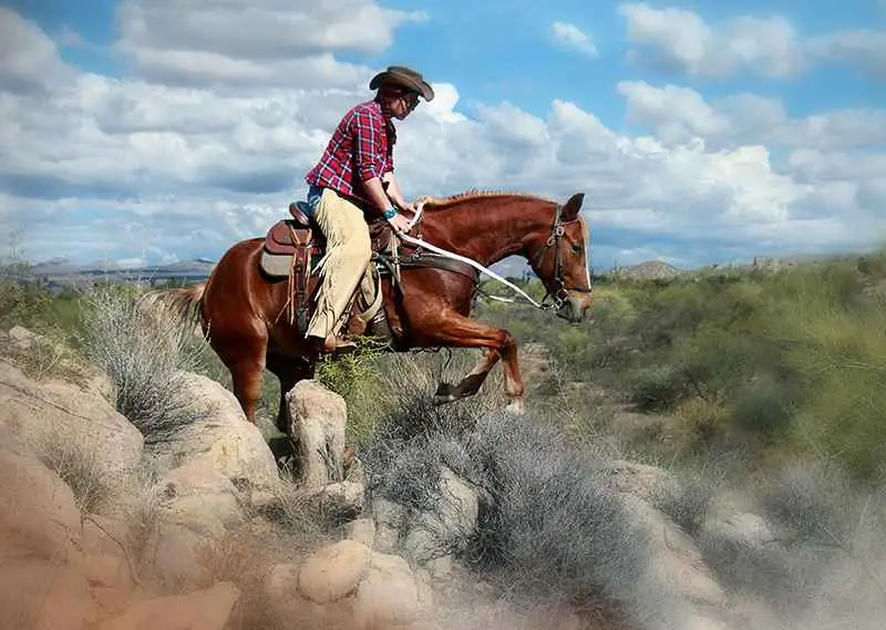 🌦️ What’s the Best Hoof Protection for Rocky Trails, Snow, or Mud?