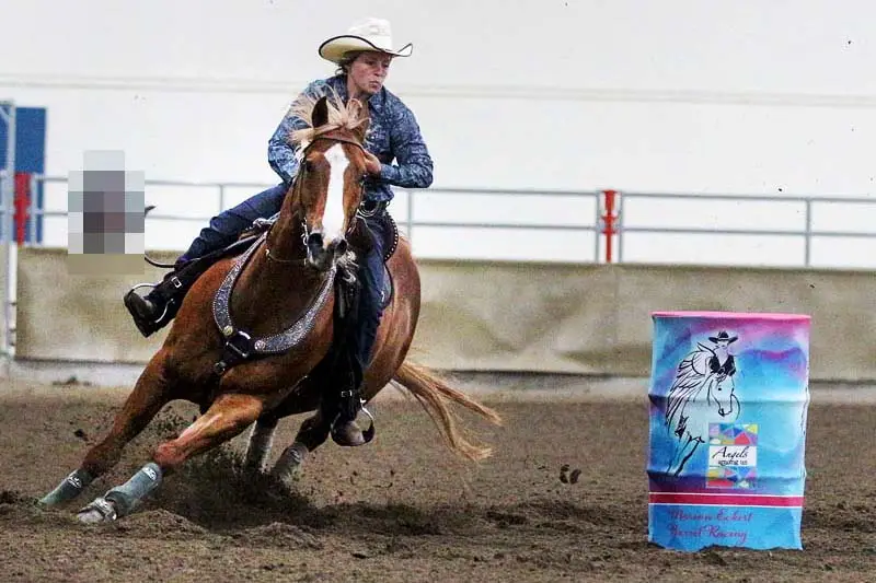 🐎 Are Composite Horseshoes Strong Enough for Jumping and Eventing?