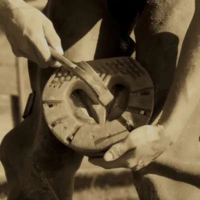 ⚠️ Are Traditional Steel Horseshoes Hurting Your Horse? What You Should Know